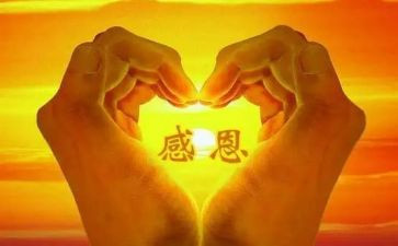 感恩父母作文优秀8篇