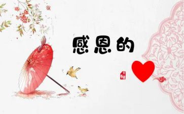 我感激老师作文600字7篇