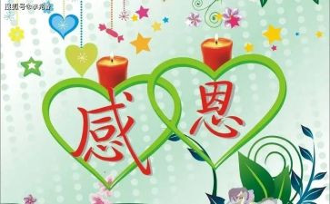 她是我最感激的人作文精选8篇