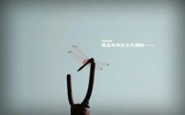 再告别读后感8篇
