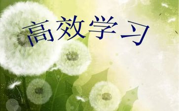 高效读后感精选7篇