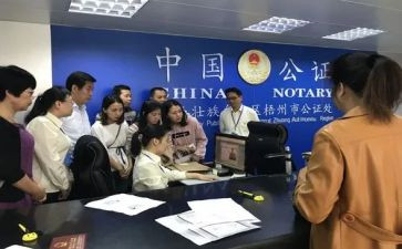 2024年公证工作总结6篇