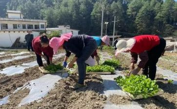 砼购销合同推荐8篇