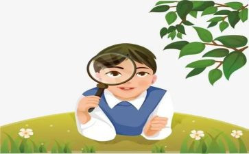 我观察摩的作文精选7篇