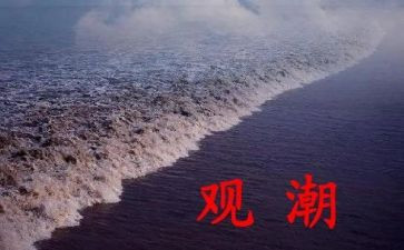 观潮读后感20字8篇