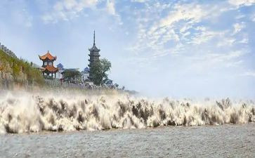 观潮读后感300字左右作文5篇