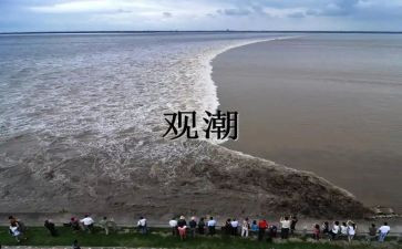 观潮读后感20字优秀6篇