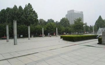 4开的蟋蟀广场读后感6篇