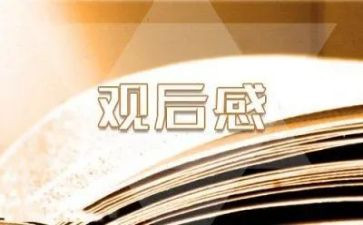 观后感作文800字推荐8篇