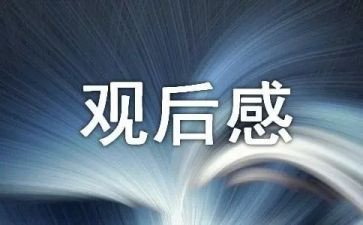 宪法晨读观后感500字作文6篇