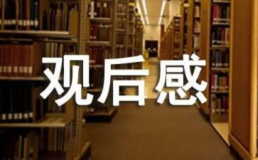 观后感作文800字通用8篇