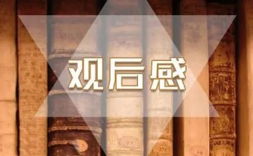 榜样六的观后感5篇