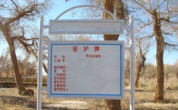 路产管护个人总结范文7篇