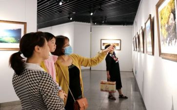 观展报告总结优质5篇
