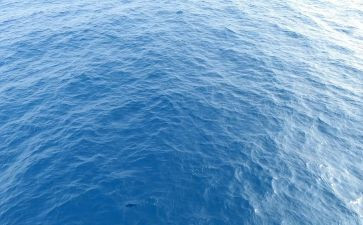 海下读后感50字优秀5篇