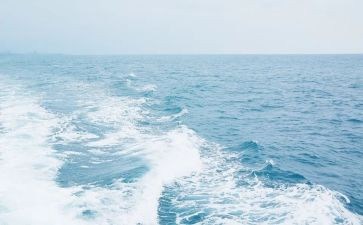 海下读后感300字优质7篇