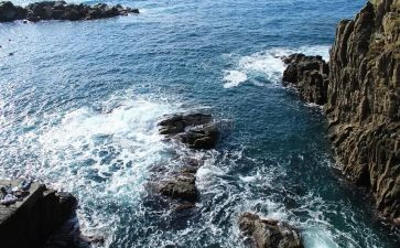 海中之旅作文5篇