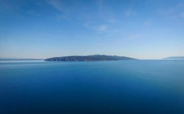 海帝读后感500字最新7篇