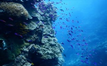 读后感海底两万里600字最新8篇