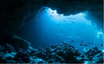 海底两万里读后感3百字6篇