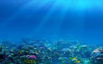 海底两万理读后感800字8篇