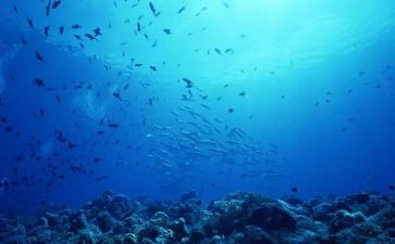 海底十万里读后感300字8篇