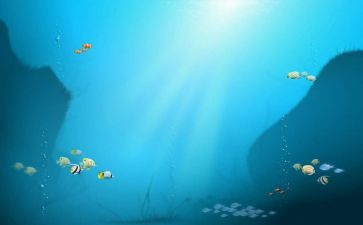 海底两万中读后感500字精选5篇