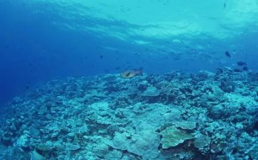 海底两万里600字读后感8篇