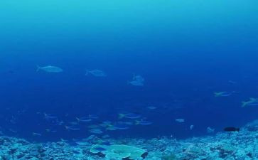 海底两万里10章读后感6篇