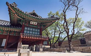 韩国作文300字6篇