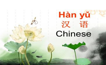 学习汉语言文字的心得体会6篇