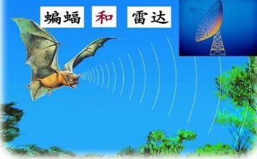 蝙蝠和雷达的教学反思5篇