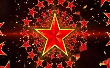 红星杨的读后感最新5篇