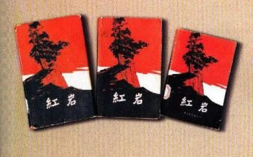 读《红岩》读后感1000字6篇