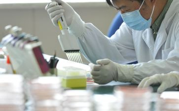 贷后检查工作报告推荐7篇