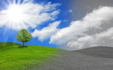 有关环保的调查报告5篇