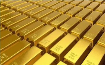 脑黄金读后感8篇