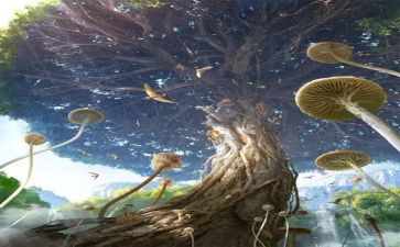 我幻想的2023作文优质5篇