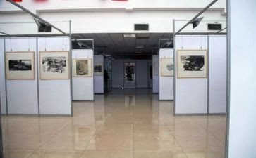书画展开幕领导讲话稿5篇