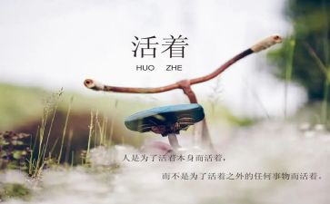 爱活着读后感8篇