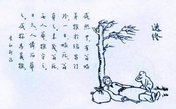 珍爱生命呵护生命心得体会5篇