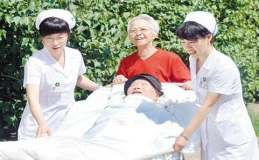 护士年度总结工作计划8篇