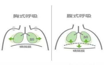 在呼吸科的自我鉴定优质8篇