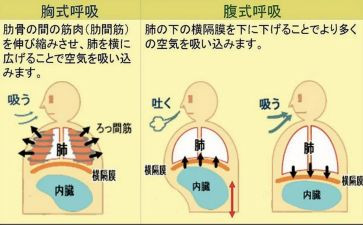 呼吸科医生工作总结范文5篇