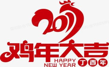 一半鸡的读后感7篇
