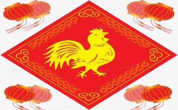 宣传鸡的活动方案参考8篇