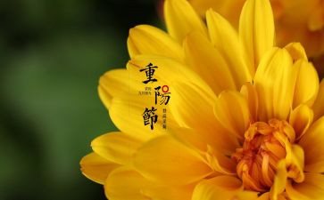 中秋佳节话团圆作文8篇