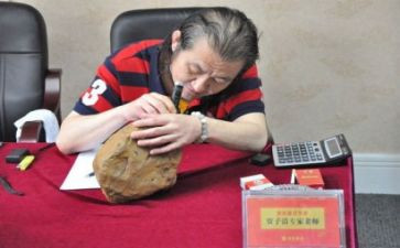 鉴定师工作计划6篇