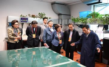 社区监委会年终工作总结7篇