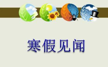 我的春节见闻作文600字5篇